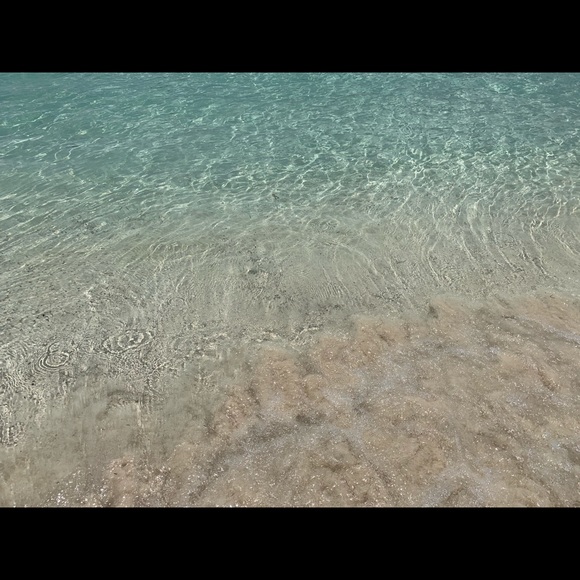 Meet your Posher, Nicole - Picture 1 of 1